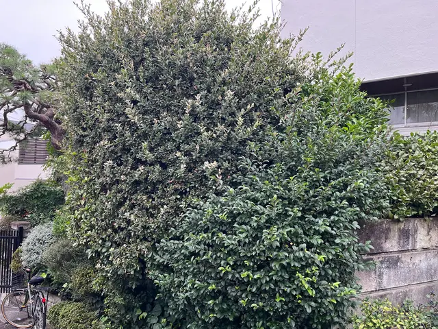 お客様から信頼いただけるよう、一つ一つの作業を迅速丁寧に対応します！サービスの画像