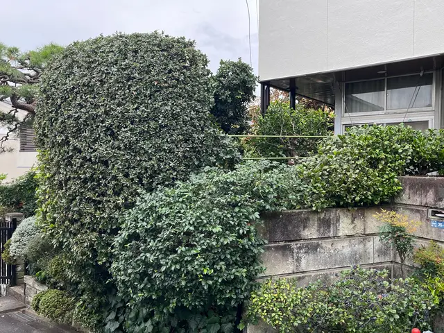 お客様から信頼いただけるよう、一つ一つの作業を迅速丁寧に対応します！サービスの画像