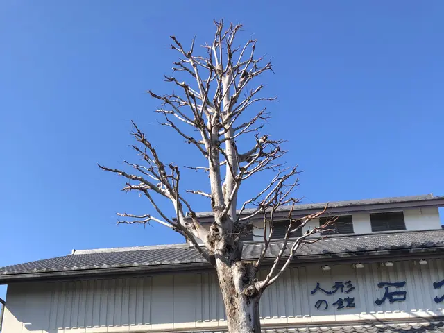 【業歴20年の実績】年中無休！迅速丁寧に仕上げます！ご要望お聞かせください！サービスの画像