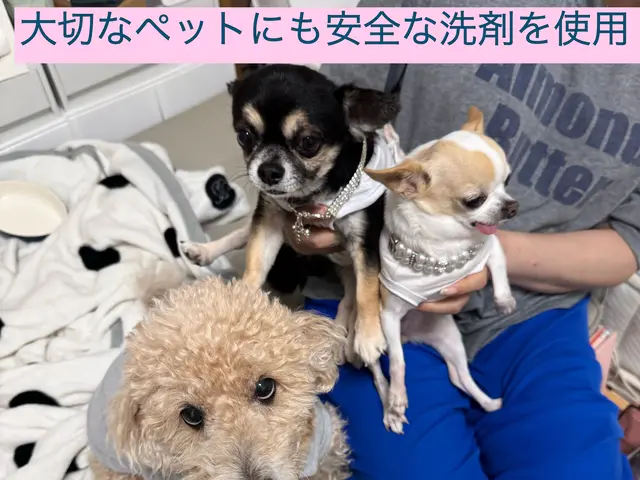 浴室クリーニング(お風呂そうじ)サービスの画像