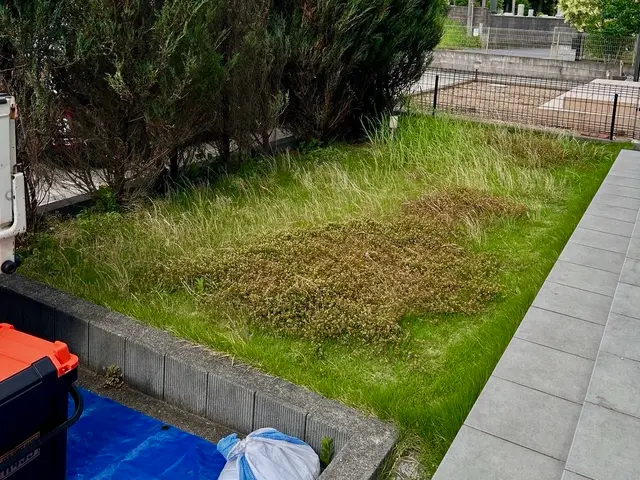 3年間100件以上の実績！大手企業も信頼するスペシャリストがご要望に完全対応サービスの画像