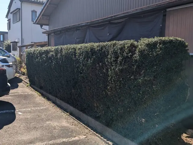 豊富な経験と知識で安心！仕上がり重視で丁寧に作業いたします！サービスの画像