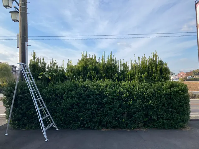 豊富な経験と知識で安心！仕上がり重視で丁寧に作業いたします！サービスの画像