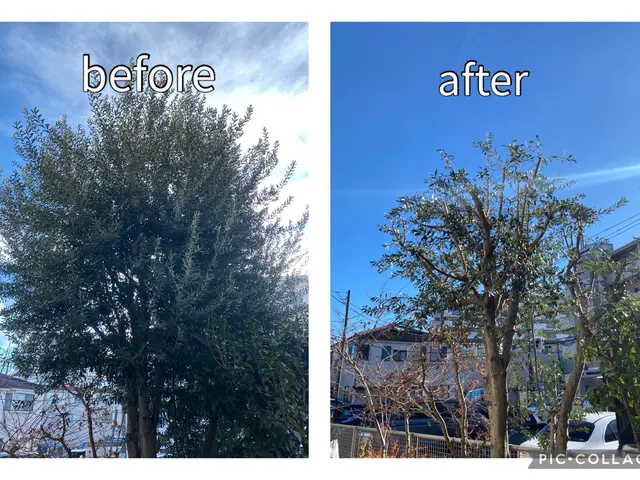 もうすぐ口コミ500件！【2024年顧客満足度賞】皆様ありがとうございます♪サービスの画像