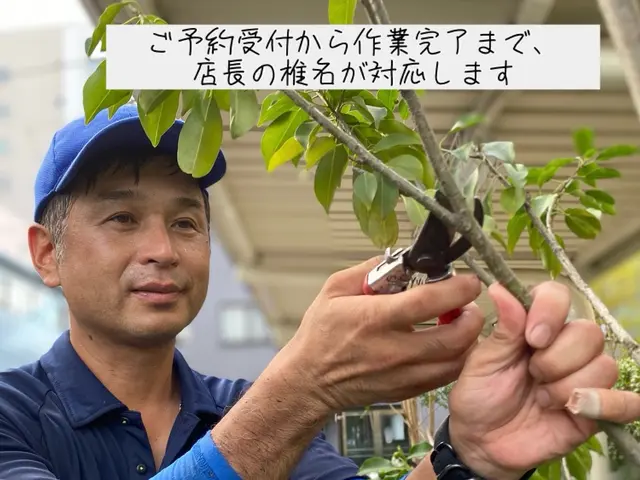 もうすぐ口コミ500件！【2024年顧客満足度賞】皆様ありがとうございます♪サービスの画像