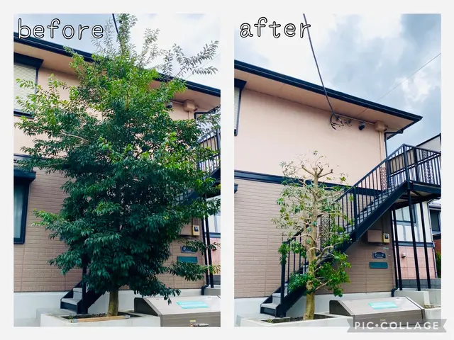 もうすぐ口コミ500件！【2024年顧客満足度賞】皆様ありがとうございます♪サービスの画像