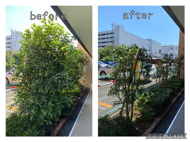 もうすぐ口コミ500件！【2024年顧客満足度賞】皆様ありがとうございます♪サービスの画像