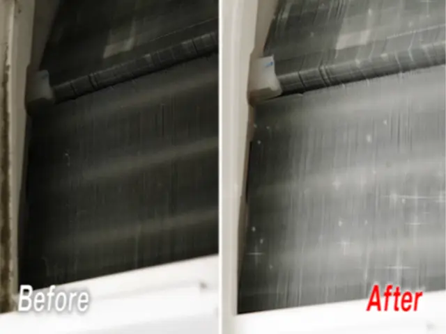 ◎親切・丁寧しっかり洗浄◎カビ、汚れ見逃さない！エアコンリフレッシュ♪サービスの画像