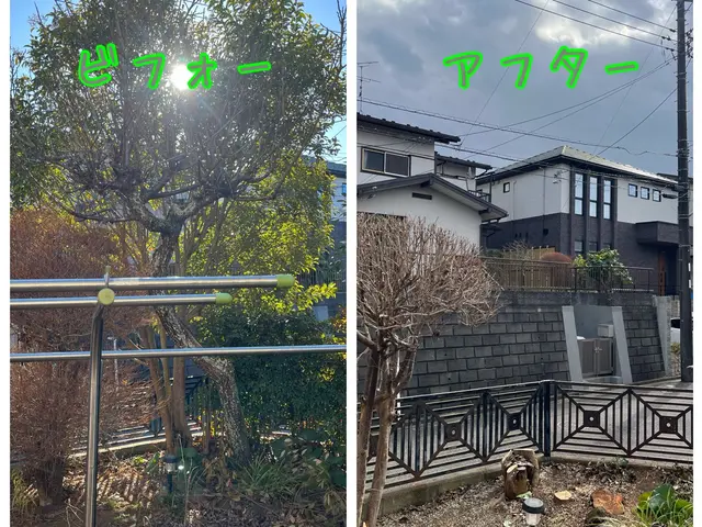 地域密着！経験10年以上、2級造園施工管理技士による伐採•抜根作業☆冬季限定価格サービスの画像