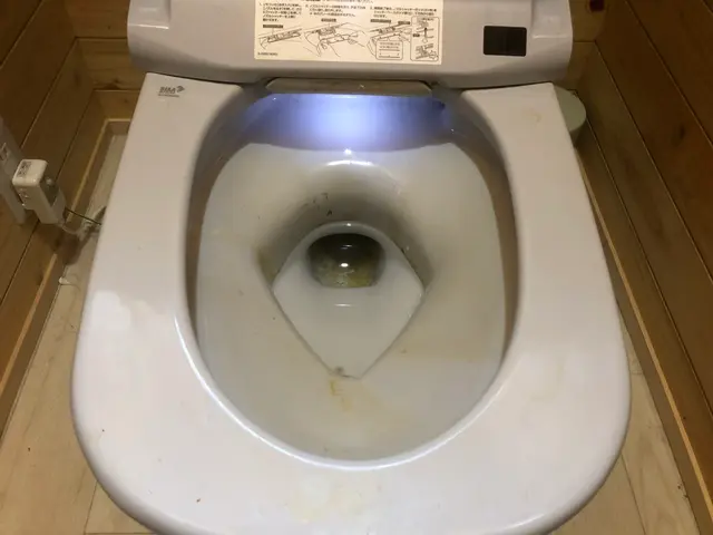 ◉季節による値段変動なし◉個人・業者などの実績多数サービスの画像