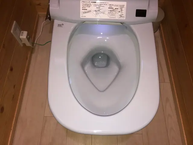 ◉季節による値段変動なし◉個人・業者などの実績多数サービスの画像