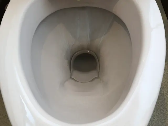 ◉季節による値段変動なし◉個人・業者などの実績多数サービスの画像