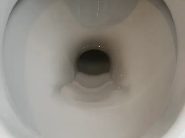 ◉季節による値段変動なし◉個人・業者などの実績多数サービスの画像