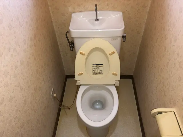 ◉季節による値段変動なし◉個人・業者などの実績多数サービスの画像