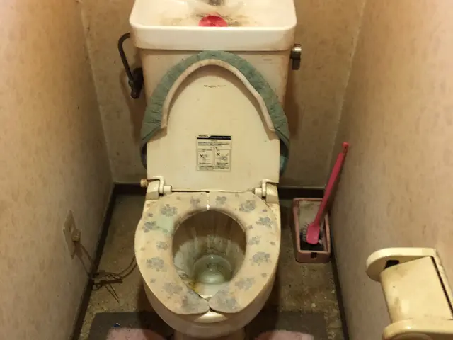 ◉季節による値段変動なし◉個人・業者などの実績多数サービスの画像