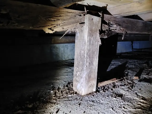 業界20年以上の実績、安心、安全、丁寧を日頃から心がけて提供しております。サービスの画像