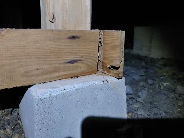 業界20年以上の実績、安心、安全、丁寧を日頃から心がけて提供しております。サービスの画像