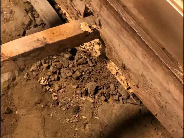 業界20年以上の実績、安心、安全、丁寧を日頃から心がけて提供しております。サービスの画像