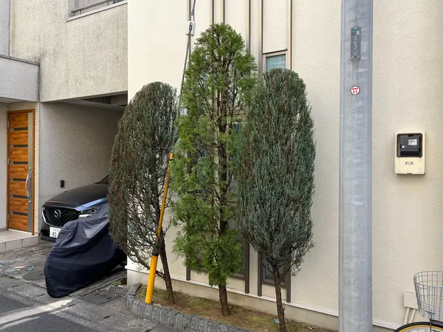 低木から高垣まで、生垣等刈り込みいたします。サービスの画像