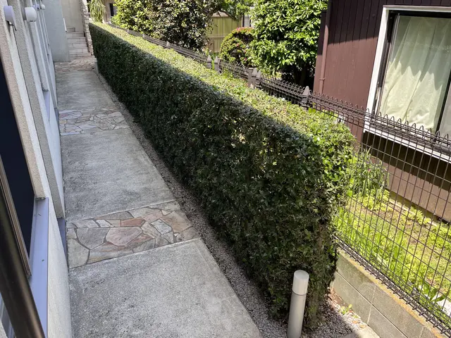 低木から高垣まで、生垣等刈り込みいたします。サービスの画像