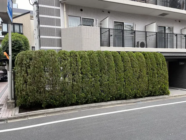 低木から高垣まで、生垣等刈り込みいたします。サービスの画像