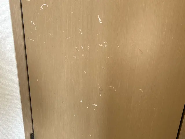 即返信・丁寧説明で安心！店長訪問◎富田林市発！サービスの画像