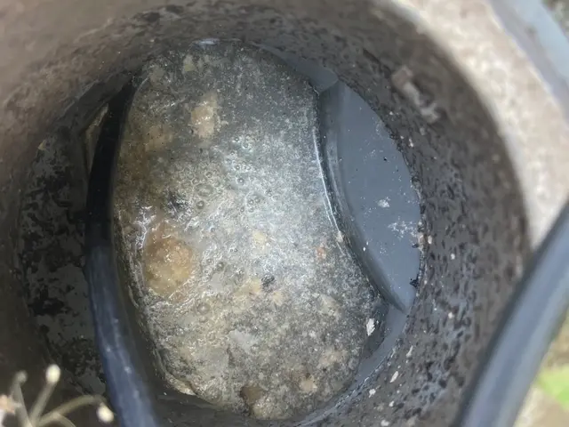 •	【高圧洗浄】排水管スッキリ洗浄サービス	•	詰まり・ニオイ予防 排水管洗浄サービスの画像