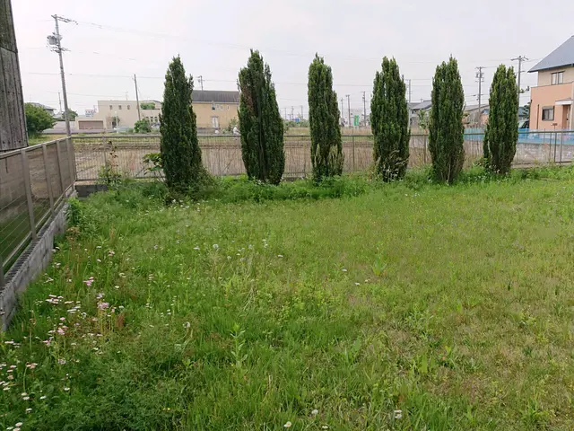 【女性スタッフ同行可能◎】お庭手入れにお困りなら、まずはご相談下さい！サービスの画像