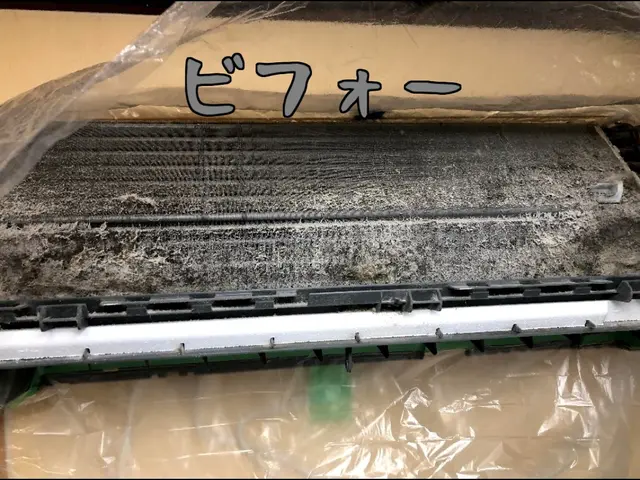 夏終わりセール♪今だけ価格7000円＋P代消臭C無料♪年間実績2000台!!!サービスの画像