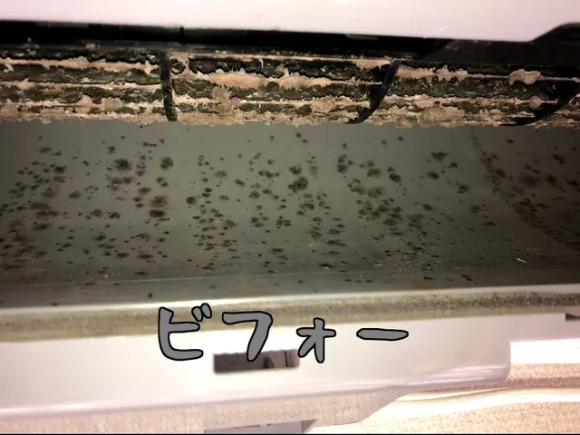 夏終わりセール♪今だけ価格7000円＋P代消臭C無料♪年間実績2000台!!!サービスの画像