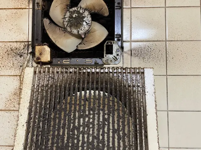 元大手スタッフが伺うので安心♪ご自身では落とせない水垢や油汚れはプロにお任せ！サービスの画像