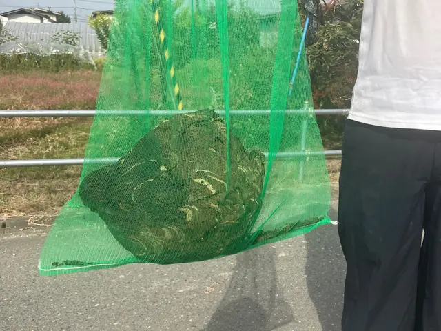 巣を見つけたらすぐご連絡下さい！★即日対応可能です！サービスの画像