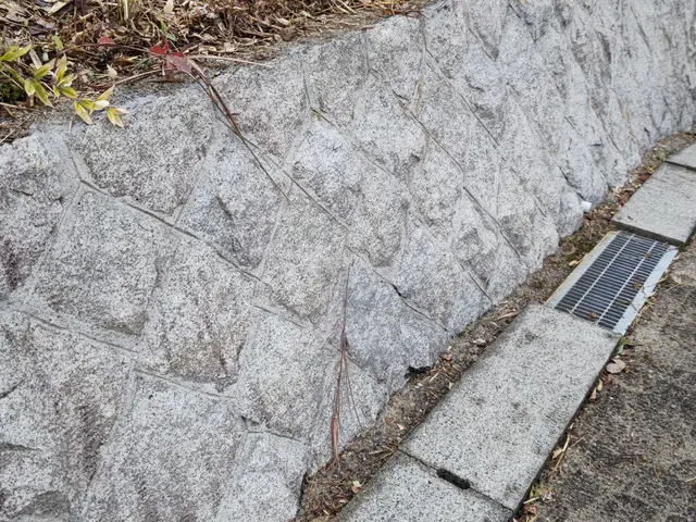 高圧洗浄！サービスの画像