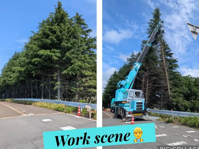 令和7年8月出店◎地域密着50年！ご家族みんなが安心できるように【新潟市発】サービスの画像