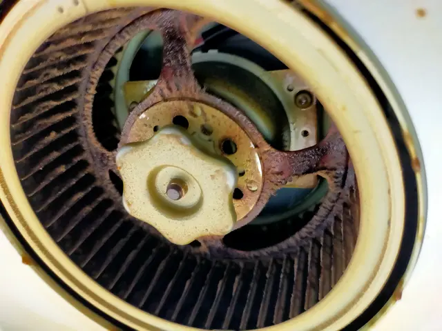 お風呂、換気扇のクリーニングはお任せ下さい。ピカピカになります！口コミを見てね！サービスの画像