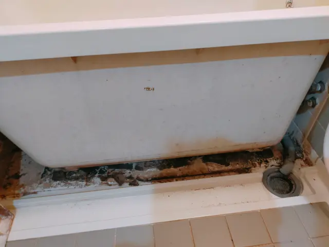 お風呂、換気扇のクリーニングはお任せ下さい。ピカピカになります！口コミを見てね！サービスの画像