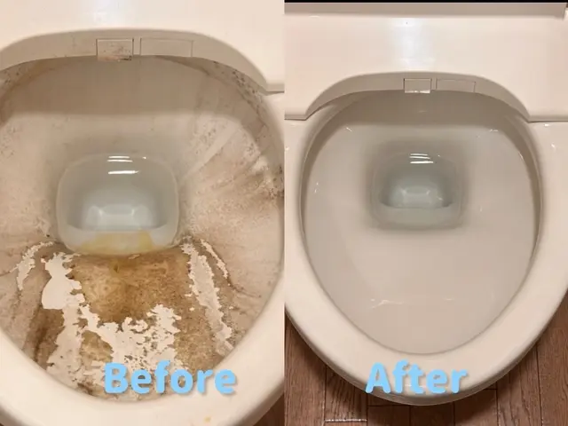 11月10.11.12日空きあり◆駐車場代なし◆前日・当日予約お問い合わせ下さいサービスの画像