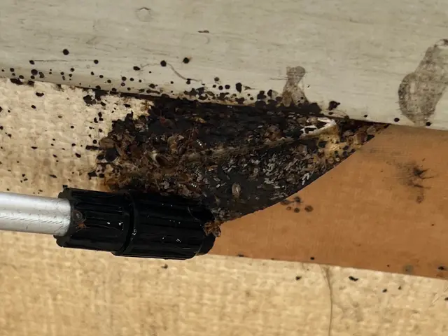 【365日24時間営業中！】駐車料金、駐車場代全てコミコミ責任を持ってご対応！サービスの画像