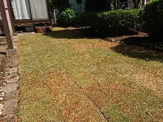 【実績24年】お庭を鮮やかなグリーンに!話題の●人工芝、TM-9●も施工可能!!サービスの画像