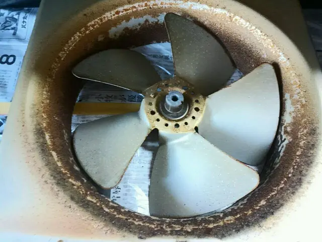 【沖縄県】★カビ対策W洗浄■エコ洗剤使用◎健康を第一に誠心誠意対応いたします！サービスの画像