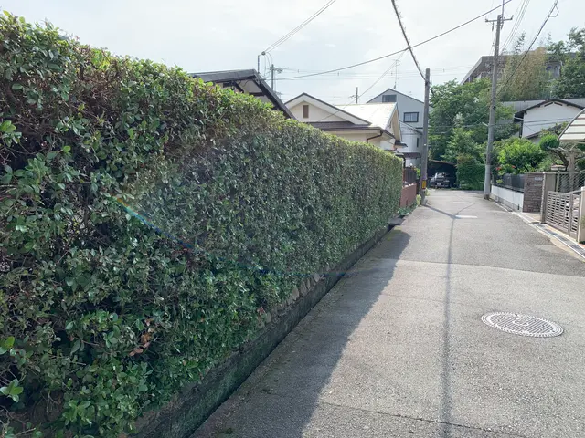 《有料P代全額負担》お庭のお困りごとをスッキリ解決！仕上がり保証ありで安心◎サービスの画像