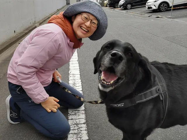 【看護師＋愛犬飼育管理士】ペットシッター専業のプロだから圧倒的安心感で大好評◎サービスの画像