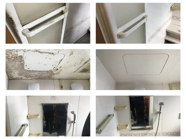 ◆安心の損害保険加入店◆サービスの画像