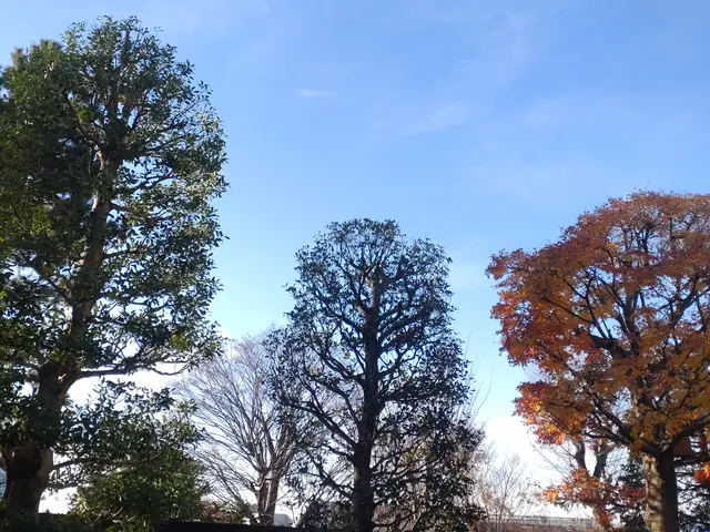 美しい仕上がりをご提供致します！◎１級造園技能士◎女性スタッフ同行可能◎サービスの画像