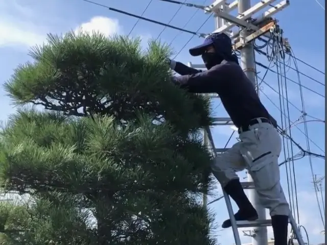 ◆新規出店キャンペーン◆30年以上の実績！お庭を美しく！サービスの画像