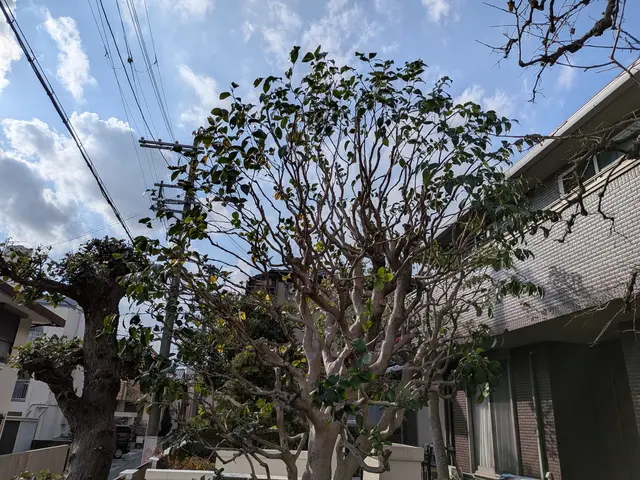 【開店キャンペーン】◆2級造園施工管理技士◆25年以上の実績！サービスの画像