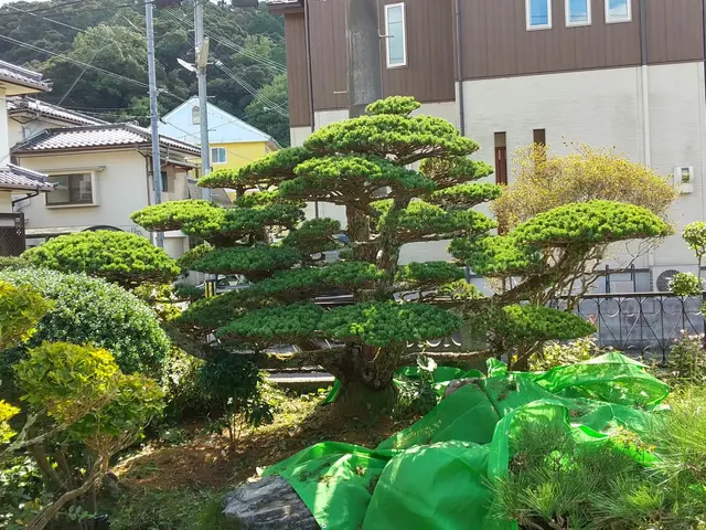 【開店キャンペーン】◆2級造園施工管理技士◆25年以上の実績！サービスの画像