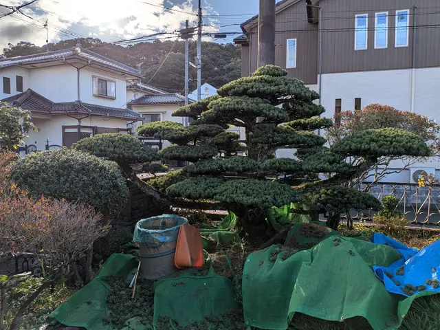 ◆新規出店キャンペーン◆30年以上の実績！お庭を美しく！サービスの画像