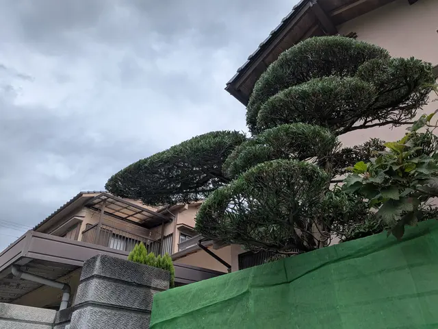 【開店キャンペーン】◆2級造園施工管理技士◆25年以上の実績！サービスの画像