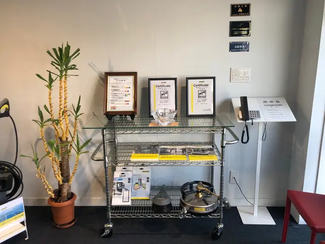 パワフルなドイツ製機材でリフレッシュ洗浄！丁寧な仕上作業で清潔なソファに復元！サービスの画像